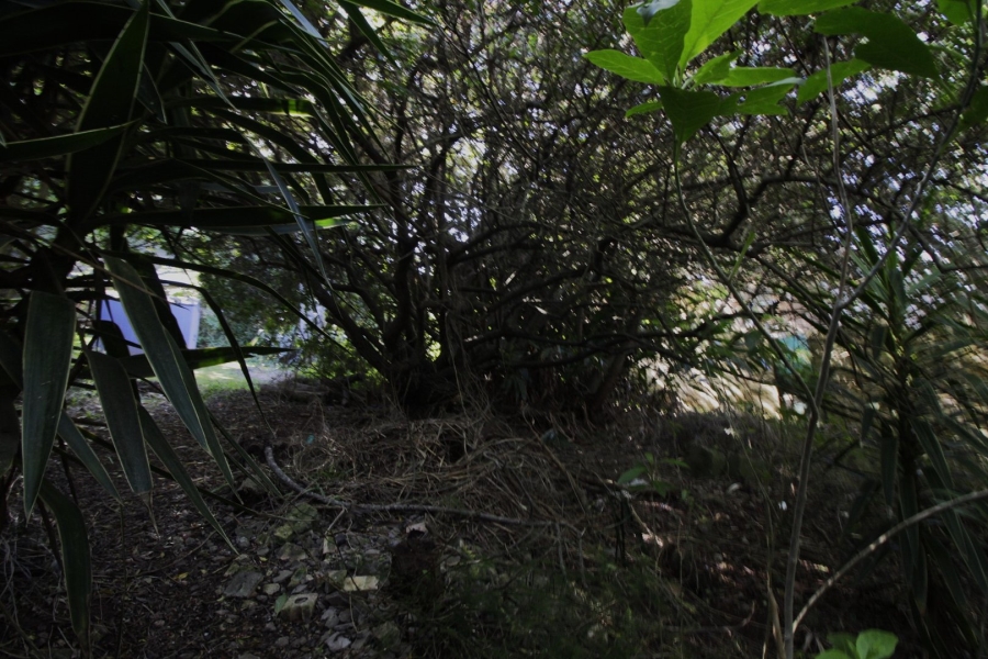 Commercial Property for Sale in Noorsekloof Eastern Cape